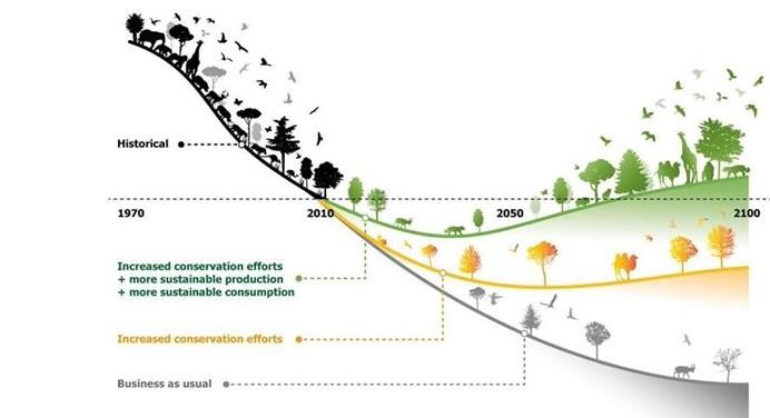 The curve of biodiversity loss