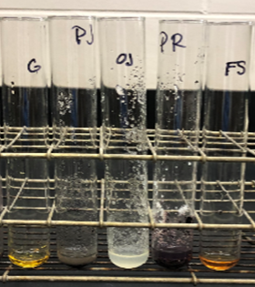 Iodine Test for Starch in Solid Food Items