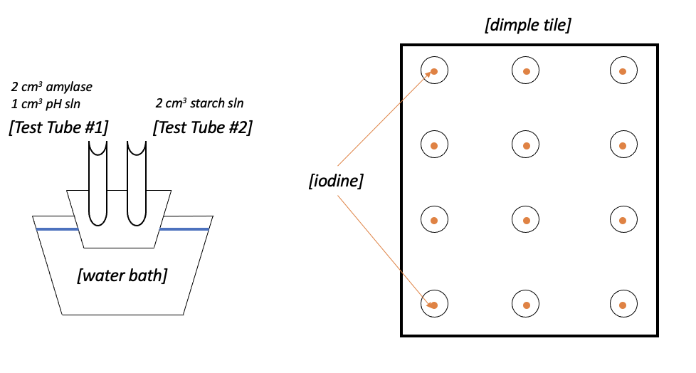 Schematic of the experiment performed