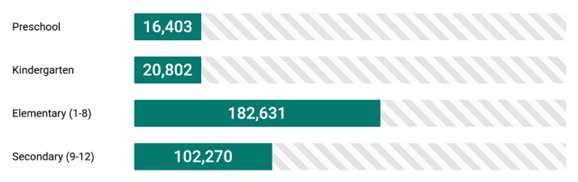 Student Enrollment Statistics