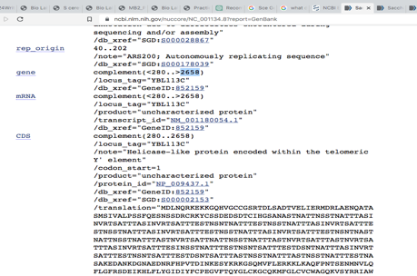 Gene coordinates and Locus encoding a protein with a predicted molecular weight of 39.6 kDa and is rightward transcribed