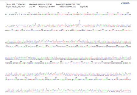 Electropherogram page 1 showing Run Ended, Signal G, lane, Base spacing, and 1403 bases in 17069 scans