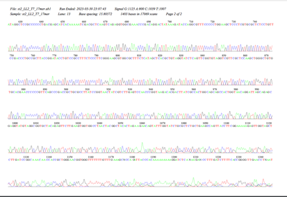 Electropherogram page 2 showing Run Ended, Signal G, lane, Base spacing, and 1403 bases in 17069 scans