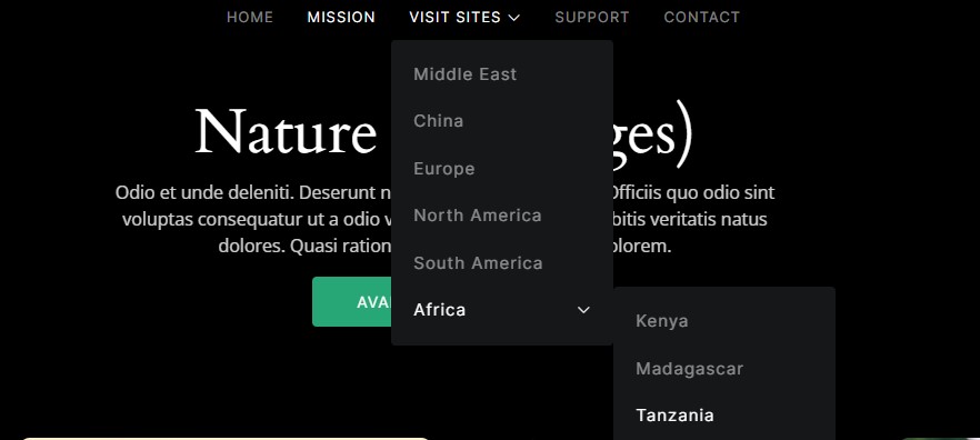 Dropdown option available for visitors.