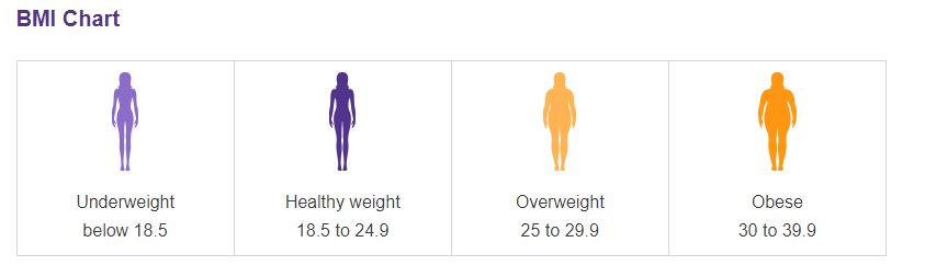 Body Mass Index Chart.