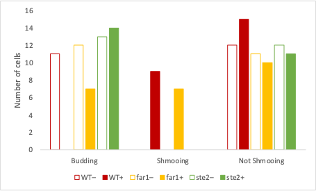 Bar chart for the results of cell counts for each of the six samples.