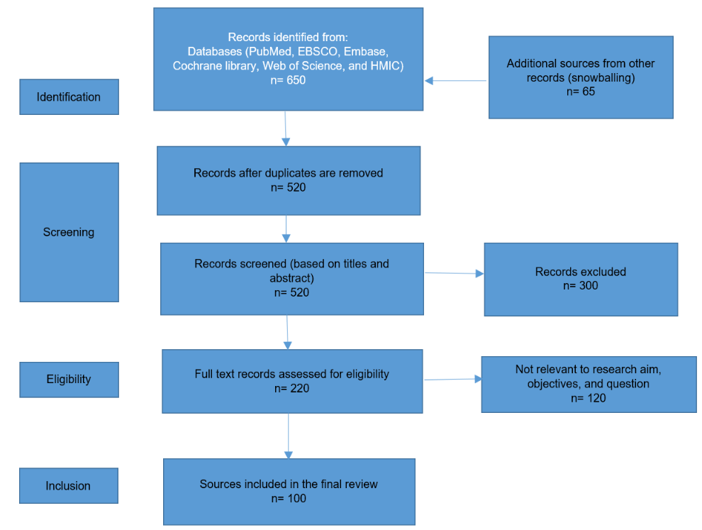 PRISMA flow diagram.