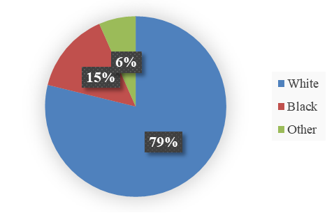 Michigan’s racial distribution.