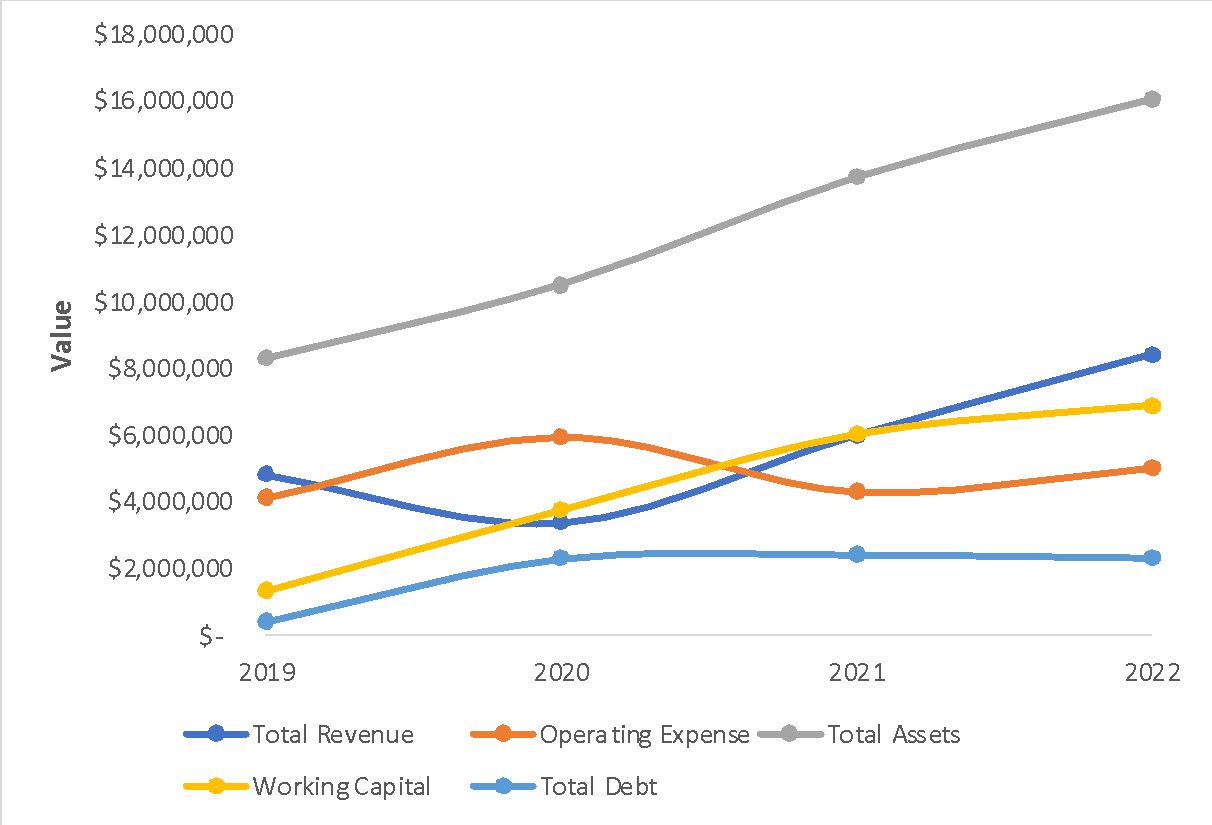 Airbnb's dynamic capital structure (based on YF, 2023).