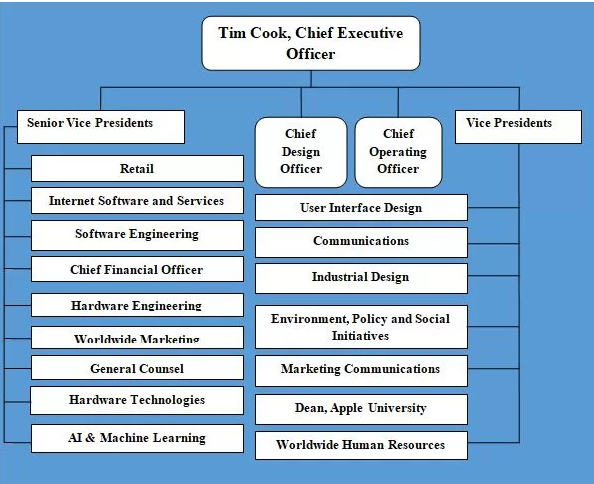 Apple's Organization Structure.