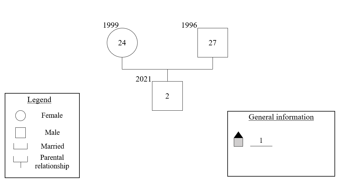 Genogram for Family A.