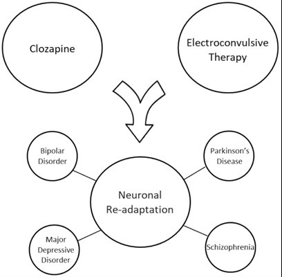Neuropsychiatric disorders in which both clozapine treatment and ECT have been reported to be effective.