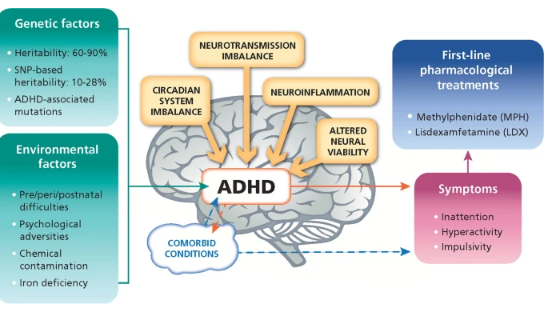 Causes and Treatment of ADHD.