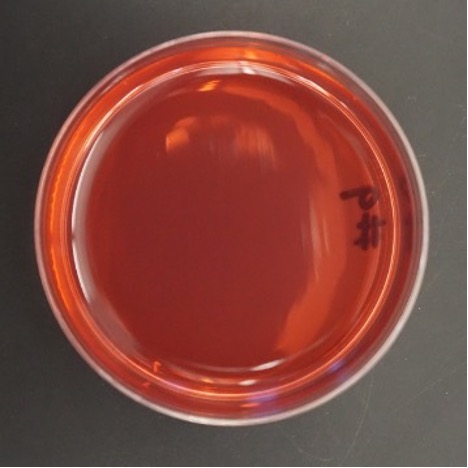 Mannitol Salt Agar.