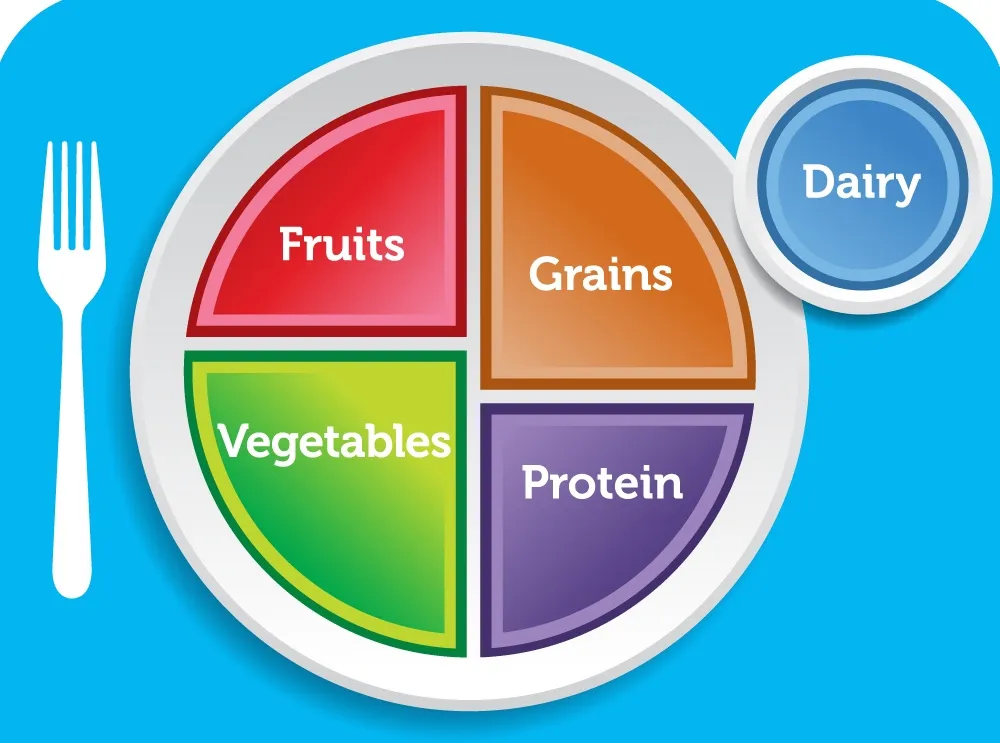 Nutrition guide.