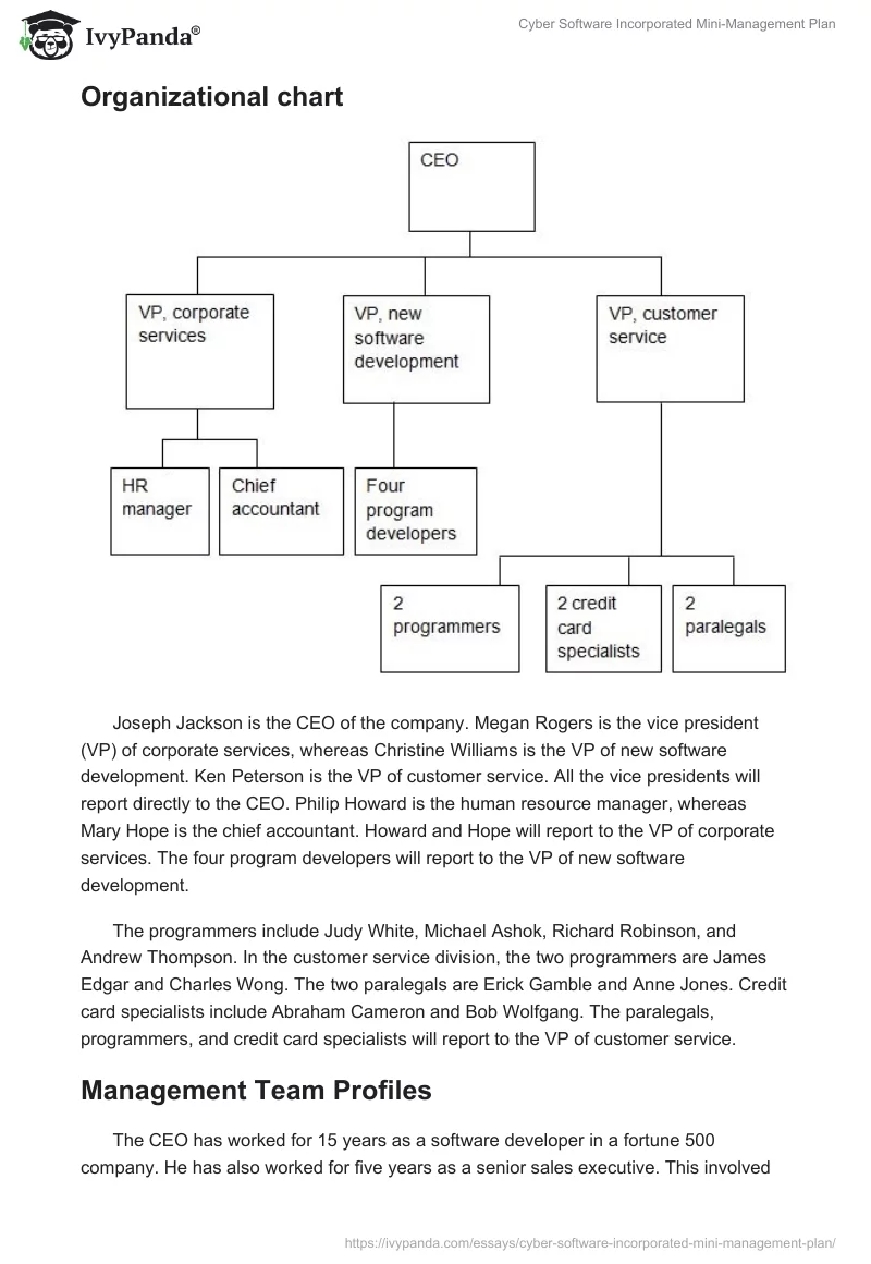 Cyber Software Incorporated Mini-Management Plan. Page 3