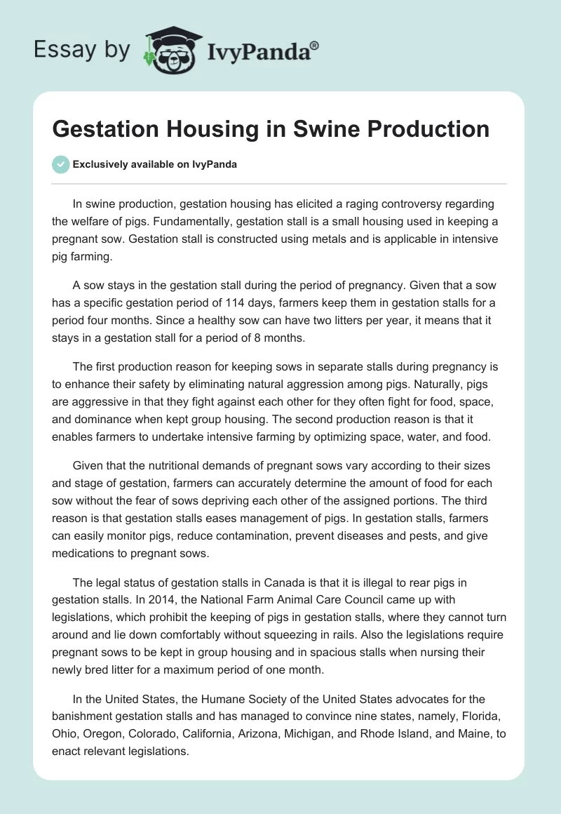 Gestation Housing in Swine Production. Page 1