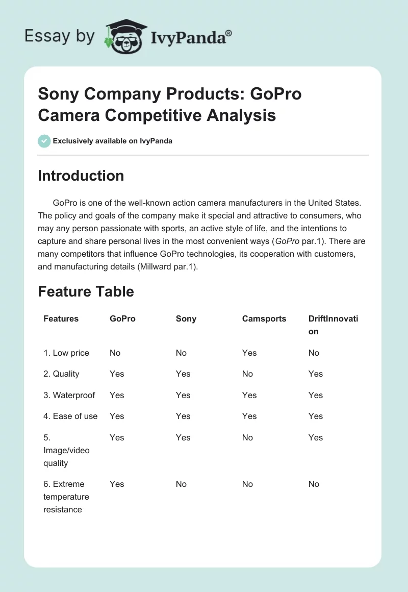 Sony Company Products: GoPro Camera Competitive Analysis. Page 1
