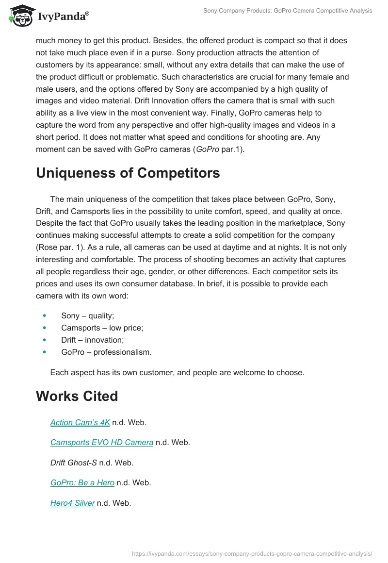 Sony Company Products: GoPro Camera Competitive Analysis. Page 3