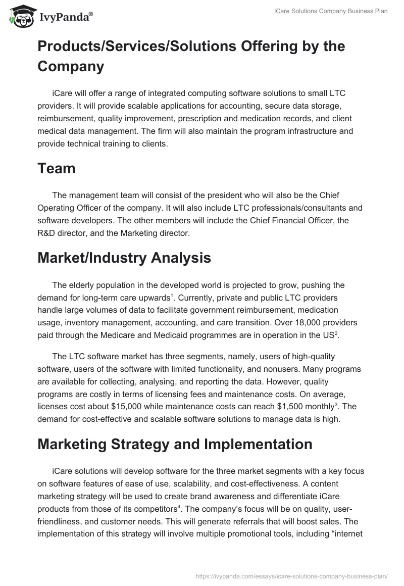 ICare Solutions Company Business Plan. Page 2