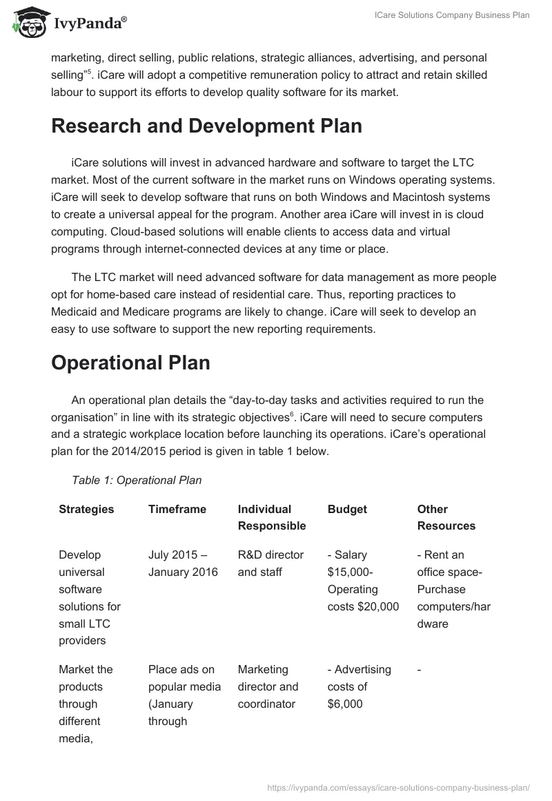 ICare Solutions Company Business Plan. Page 3