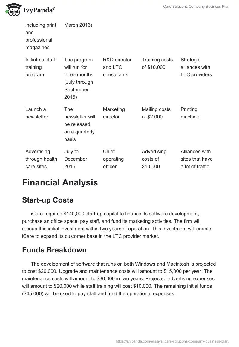 ICare Solutions Company Business Plan. Page 4