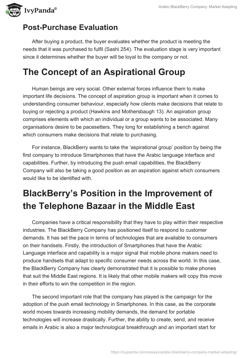 Arabic BlackBerry Company: Market Adapting. Page 3