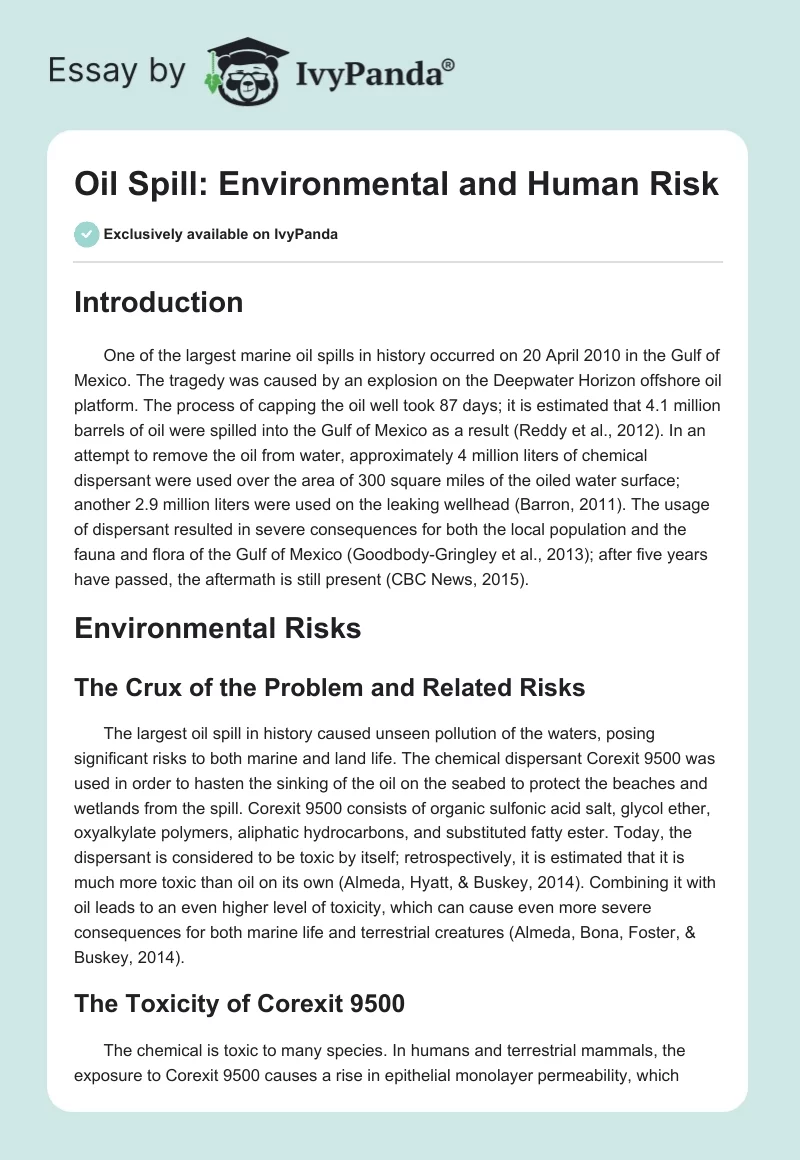 Oil Spill: Environmental and Human Risk. Page 1