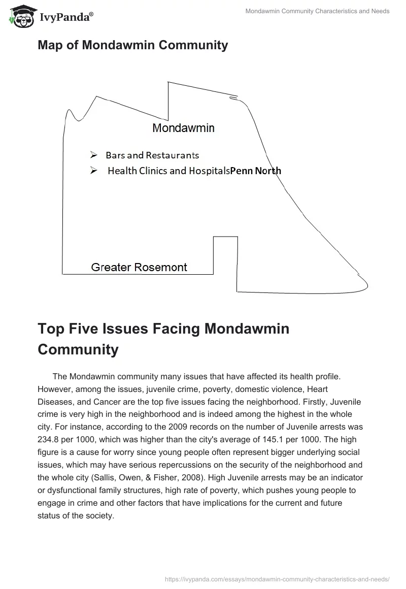 Mondawmin Community Characteristics and Needs. Page 5