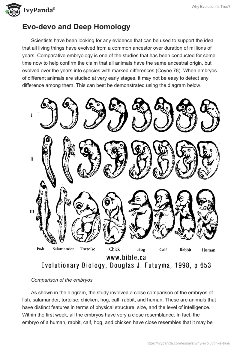 Why Evolution Is True?. Page 3