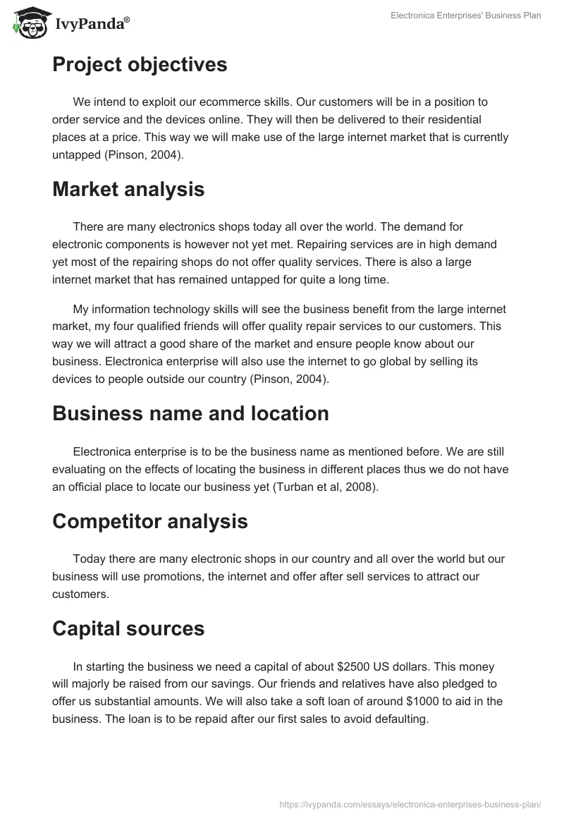 Electronica Enterprises' Business Plan. Page 2