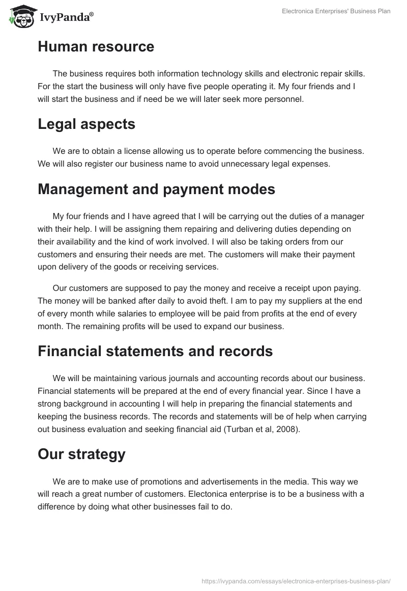 Electronica Enterprises' Business Plan. Page 3