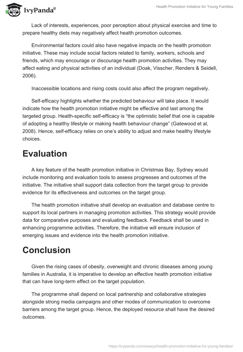 Health Promotion Initiative for Young Families. Page 3