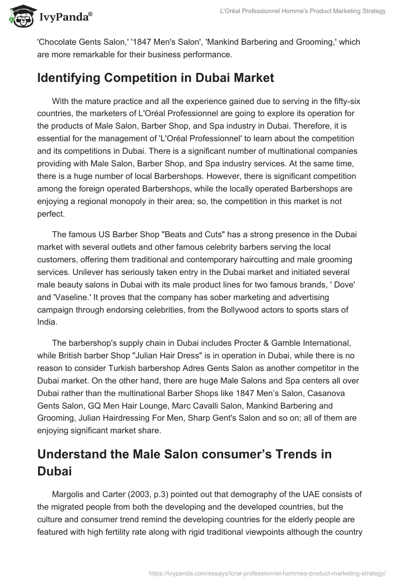 L'Oréal Professionnel Homme's Product Marketing Strategy. Page 3