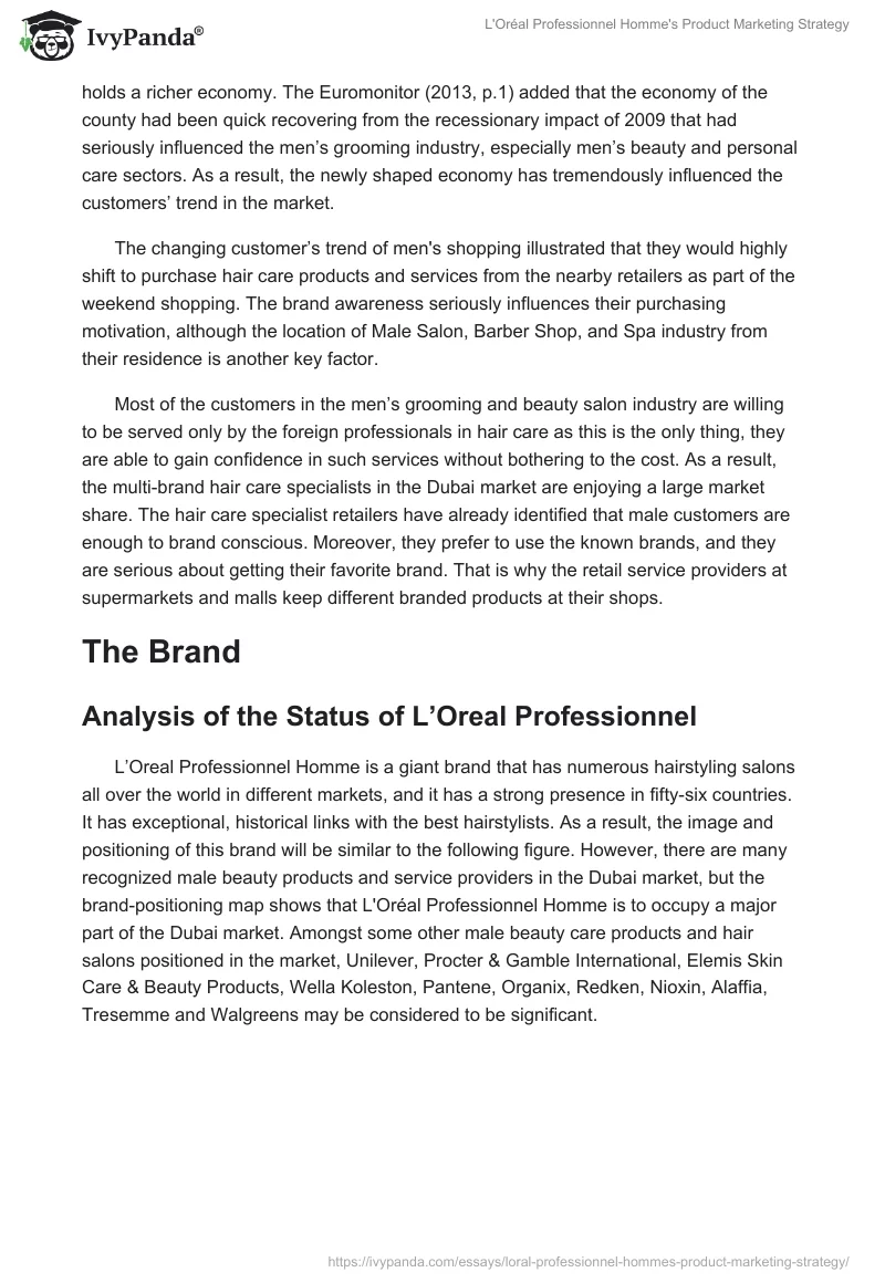L'Oréal Professionnel Homme's Product Marketing Strategy. Page 4