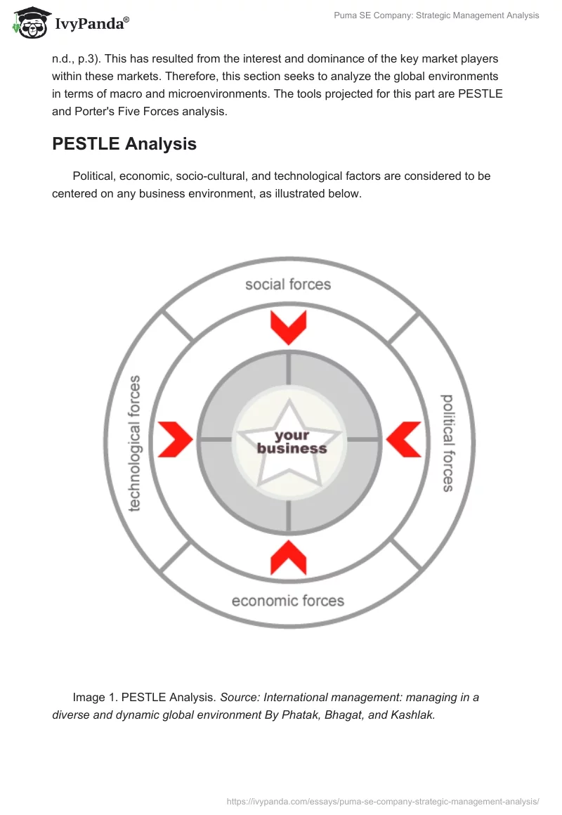 Puma SE Company: Strategic Management Analysis. Page 2