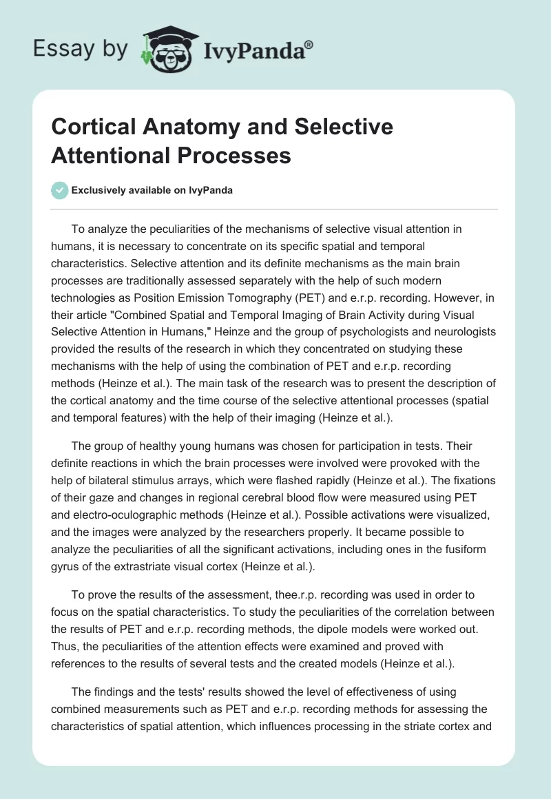Cortical Anatomy and Selective Attentional Processes. Page 1