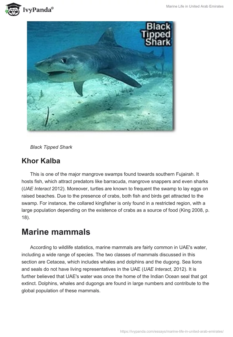 Marine Life in United Arab Emirates. Page 4