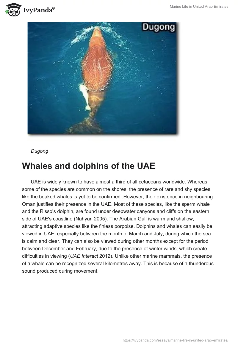Marine Life in United Arab Emirates. Page 5