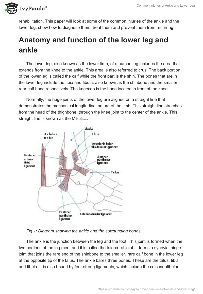 Common Injuries of Ankle and Lower Leg. Page 2