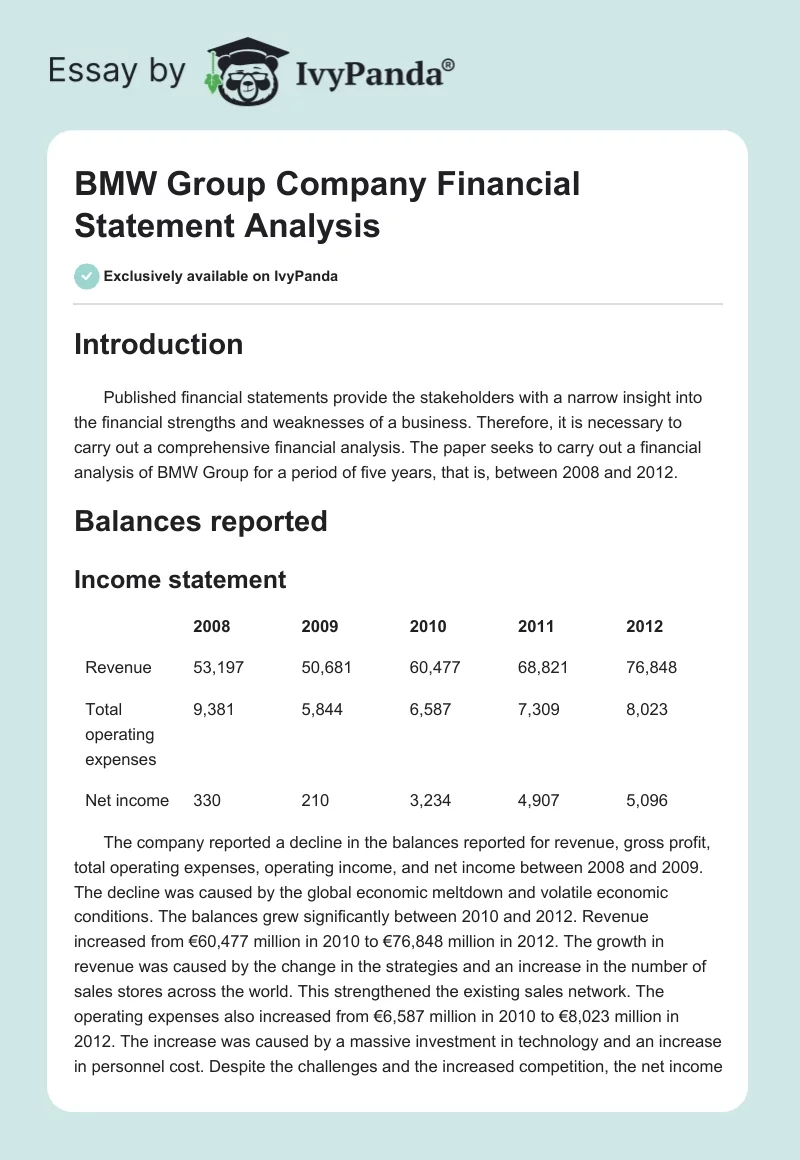 BMW Group Company Financial Statement Analysis. Page 1