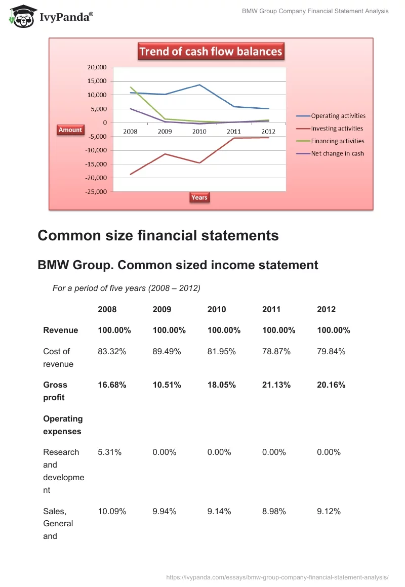 BMW Group Company Financial Statement Analysis. Page 5