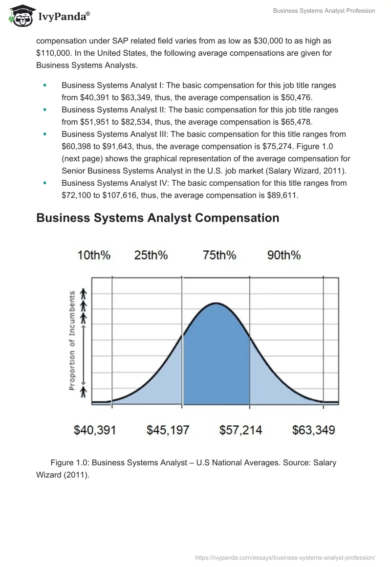Business Systems Analyst Profession. Page 2