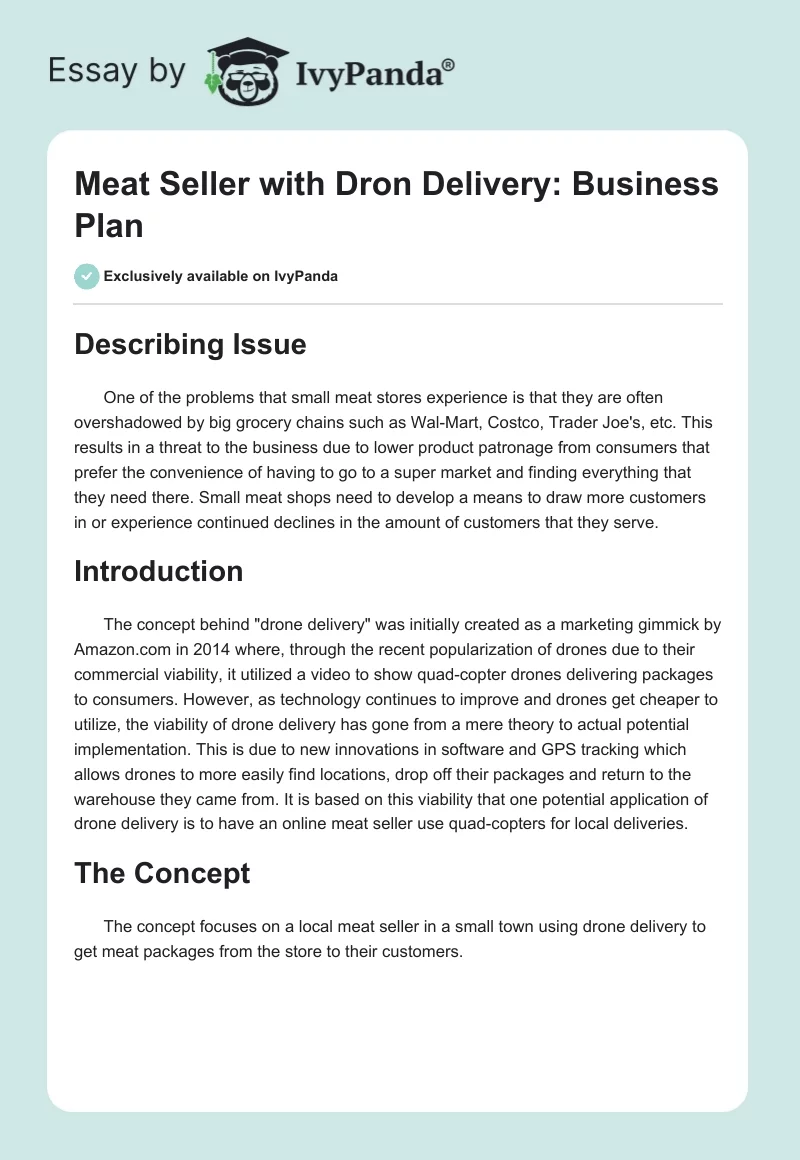 Meat Seller With Dron Delivery: Business Plan. Page 1