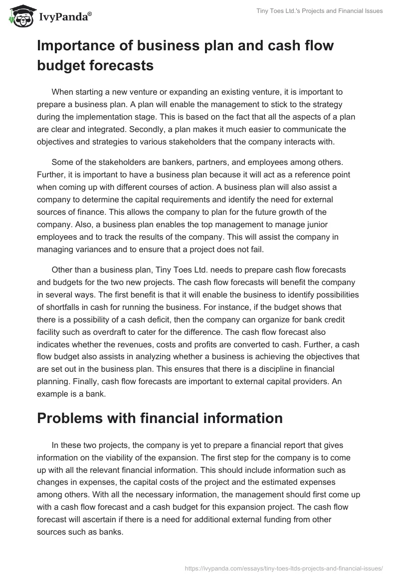 Tiny Toes Ltd.'s Projects and Financial Issues. Page 2