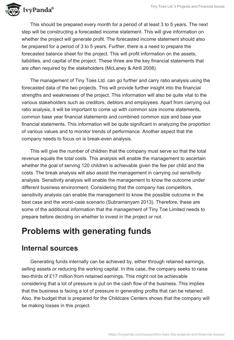 Tiny Toes Ltd.'s Projects and Financial Issues. Page 3