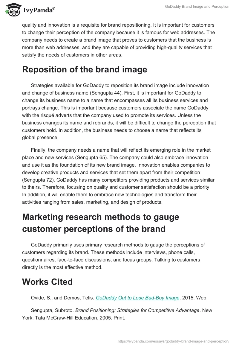 GoDaddy Brand Image and Perception. Page 2