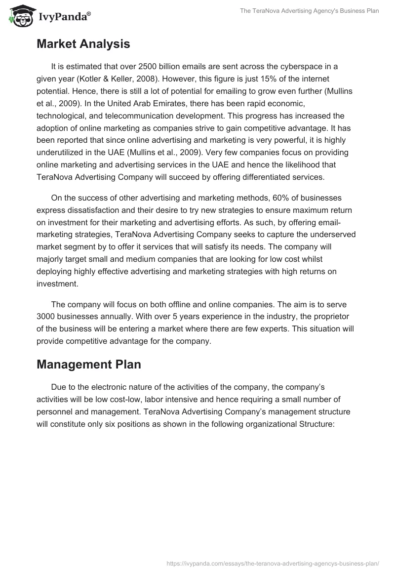 The TeraNova Advertising Agency's Business Plan. Page 5