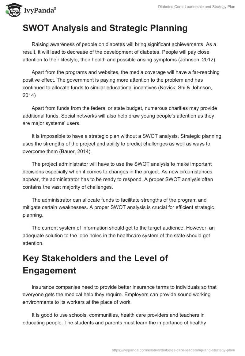 Diabetes Care: Leadership and Strategy Plan. Page 2