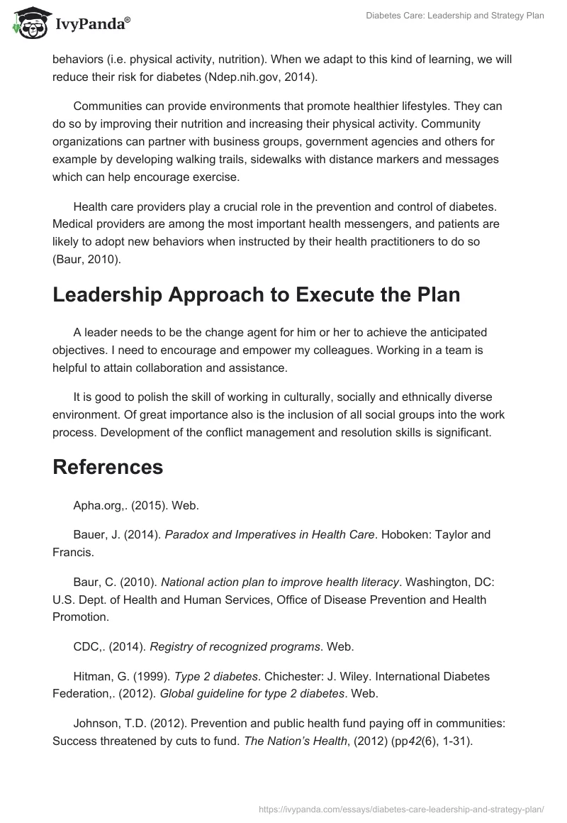 Diabetes Care: Leadership and Strategy Plan. Page 3